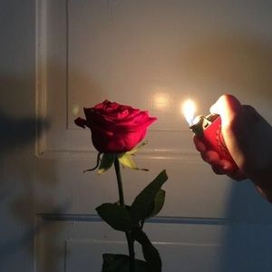 Meet your Posher, Flora